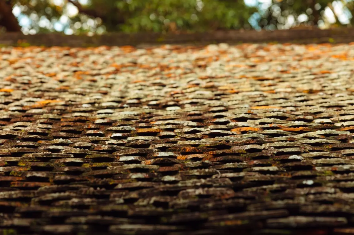 Aging shingle roof with moss growth and granule loss in Springfield, IL
